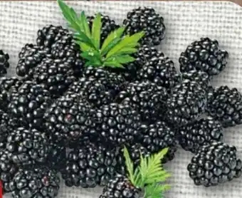 nahkauf Rewe Beste Wahl Brombeeren Angebot