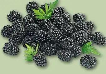 REWE Center Rewe Beste Wahl Brombeeren Angebot