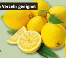 REWE Center Rewe Beste Wahl Zitrone Angebot