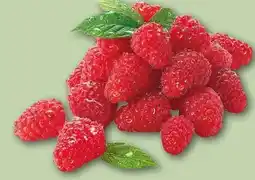 REWE Center Rewe Beste Wahl Frische Himbeeren Angebot