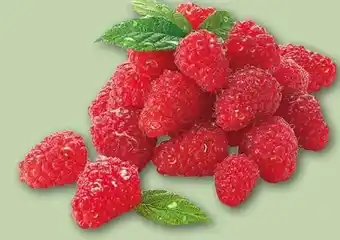 REWE Center Rewe Beste Wahl Frische Himbeeren Angebot