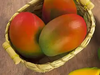REWE Center Mango Angebot