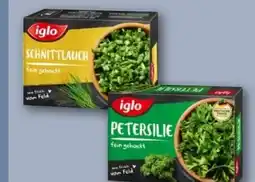 REWE Center Iglo Petersilie Angebot