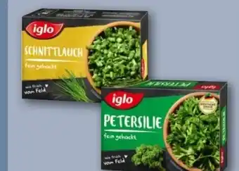 REWE Center Iglo Petersilie Angebot