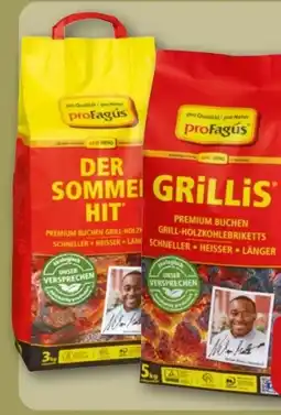 REWE Center proFagus Grill-Holzkohle Angebot
