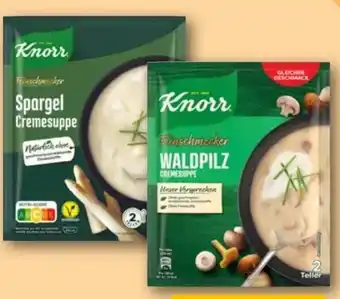 REWE Center Knorr Feinschmecker Suppe Angebot