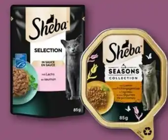 REWE Center Sheba Katzennahrung Angebot