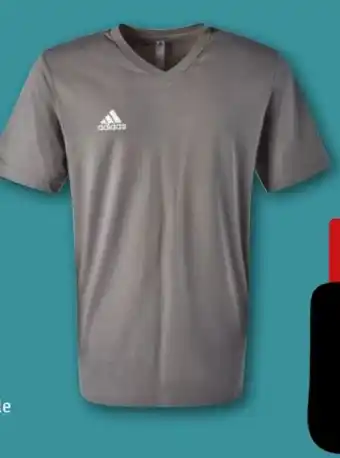 REWE Center Adidas Herren-Shirt Angebot