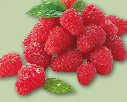 REWE Rewe Beste Wahl Frische Himbeeren Angebot