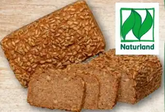 REWE Rewe Back-Station Bio Roggenvollkornbrot Angebot