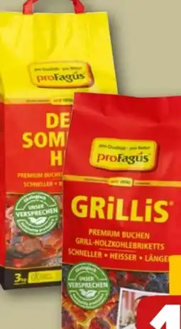 REWE proFagus Grill-Holzkohle Angebot