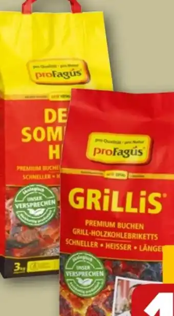 REWE proFagus Grill-Holzkohle Angebot