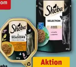 REWE Sheba Selection in Sauce Angebot