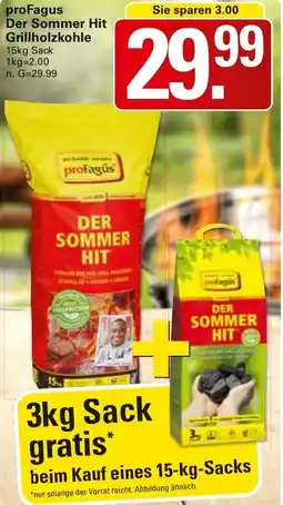 WEZ proFagus Der Sommer Hit Grillholzkohle Angebot