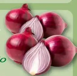 REWE Rewe Bio Bio-Speisezwiebeln Angebot