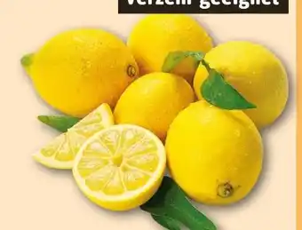 REWE Rewe Bio Zitronen Angebot