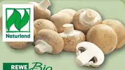 REWE Rewe Bio Champignons Angebot