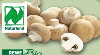 REWE Rewe Bio Champignons Angebot