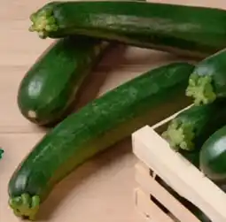 tegut Zucchini Angebot