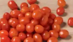 tegut tegut... Mini-Datteltomaten Angebot