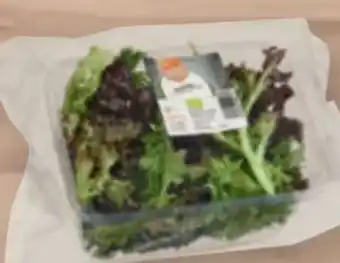 tegut tegut... Bio-Salat-Mix Angebot