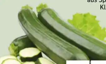 Edeka Xpress Zucchini Angebot