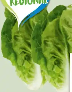 Edeka Xpress Mini-Romanasalat Angebot