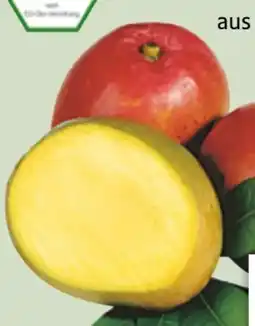 Edeka Xpress Bio-Mango Kent/Keitt Angebot