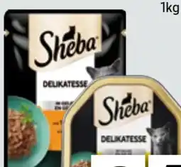 Edeka Xpress Sheba Katzennahrung Angebot