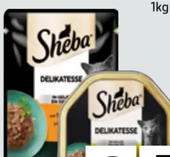 Edeka Xpress Sheba Katzennahrung Angebot