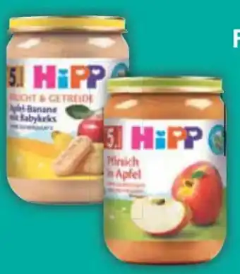 E-Center HiPP Bio Fruchtbrei Angebot