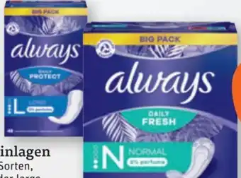 tegut Always Slipeinlagen Daily Protect Angebot