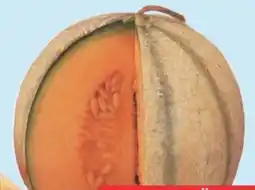 E-Center Cantaloupemelonen Angebot