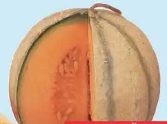E-Center Cantaloupemelonen Angebot