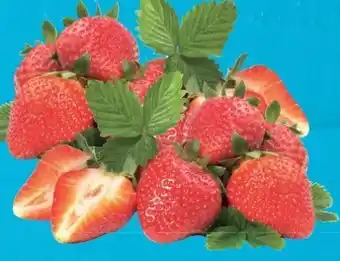 E-Center Erdbeeren Angebot