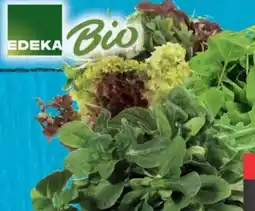 E-Center Edeka Bio Salate Angebot