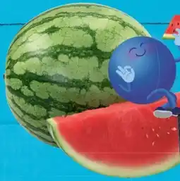 E-Center Mini-Wassermelone Angebot