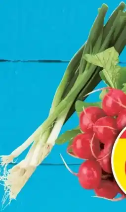 E-Center Radieschen Angebot