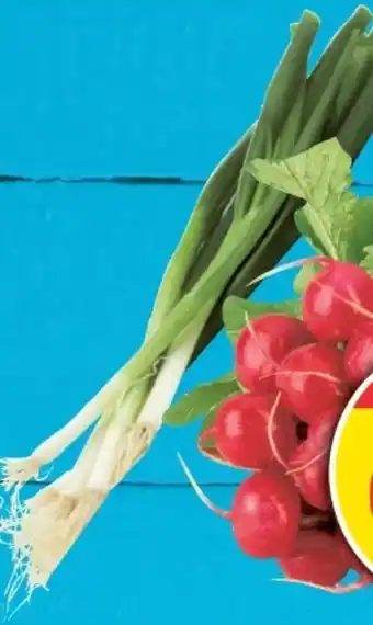 E-Center Radieschen Angebot