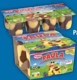 E-Center Dr. Oetker Paula Pudding Angebot