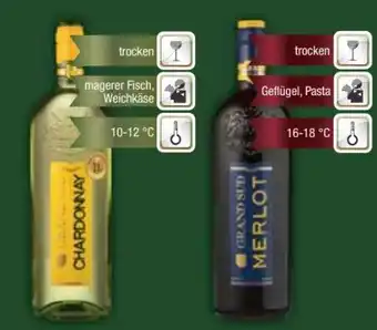 E-Center Grand Sud Merlot Angebot