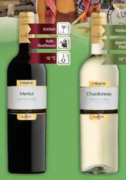 E-Center Cavit Merlot Angebot