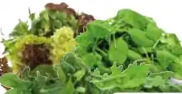 Edeka Edeka Bio Rucola Angebot