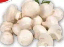 Edeka Gut & Günstig Frische Champignons Angebot