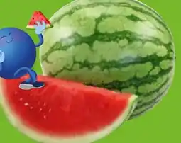 Edeka Mini-Wassermelone Angebot