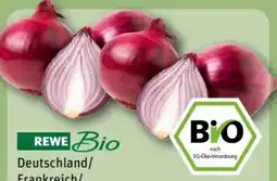 REWE Center Rewe Bio Bio-Speisezwiebeln Angebot