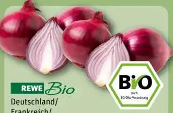 REWE Center Rewe Bio Bio-Speisezwiebeln Angebot