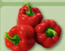 REWE Center Rote Paprika Angebot