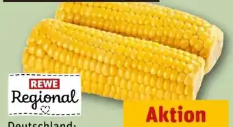 REWE Center Rewe Regional Vorgegarter Zuckermais Angebot
