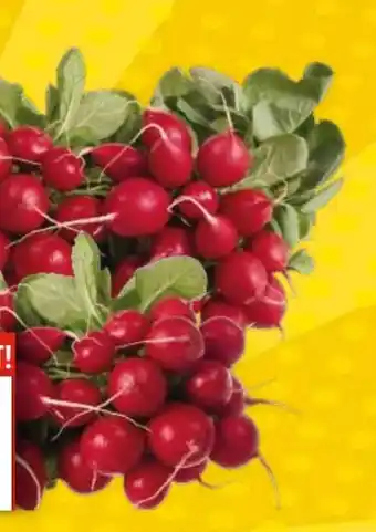 EDEKA Bandelt Radieschen Angebot